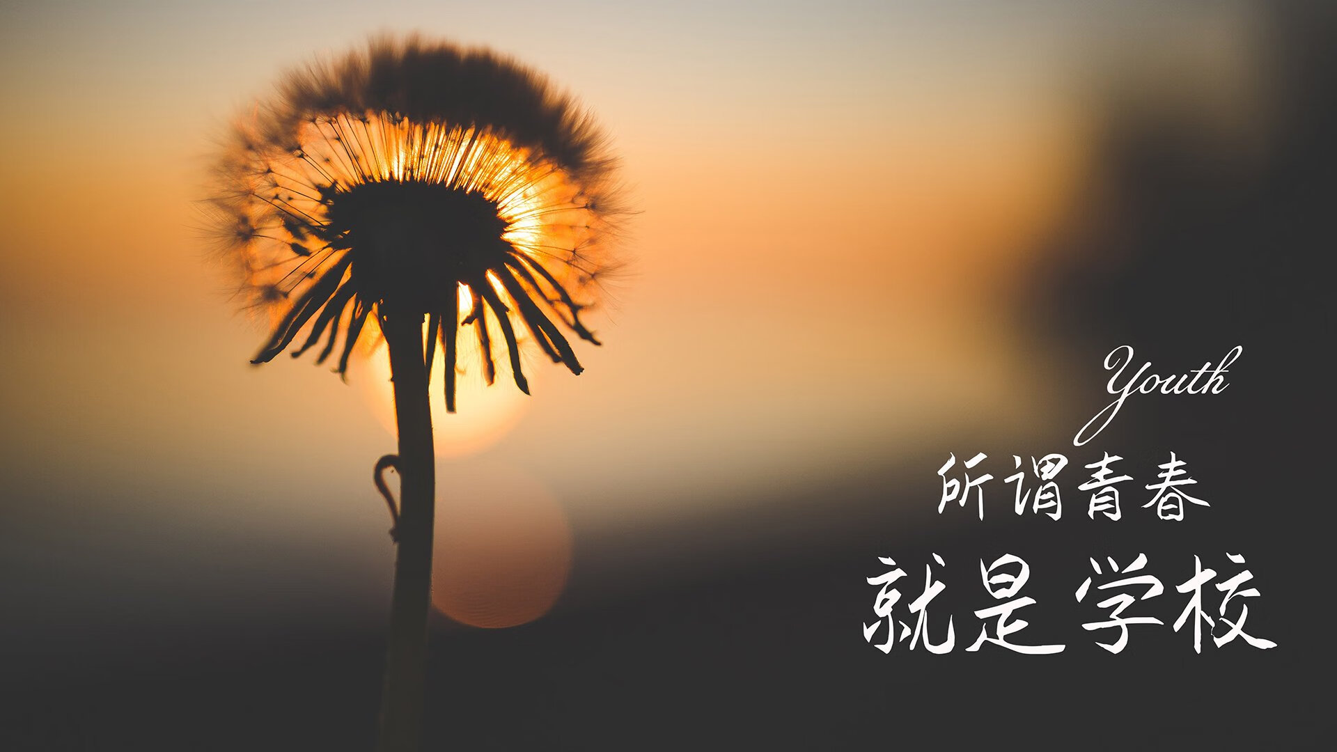 “最后一击定乾坤——全场焦点瞬间，燃爆全场”，最后一击歌词