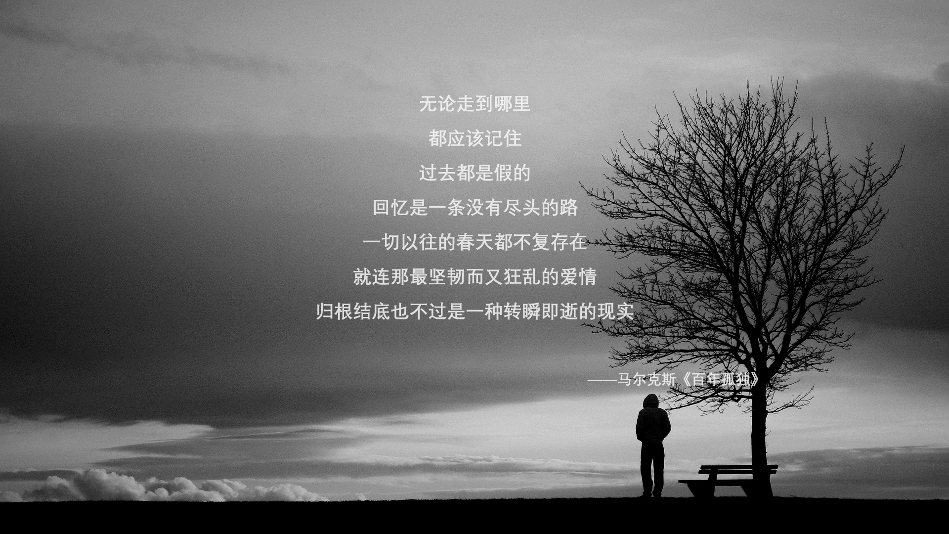 意甲激烈角逐：国际米兰大战都灵，领先优势依然稳固，国际米兰与都灵
