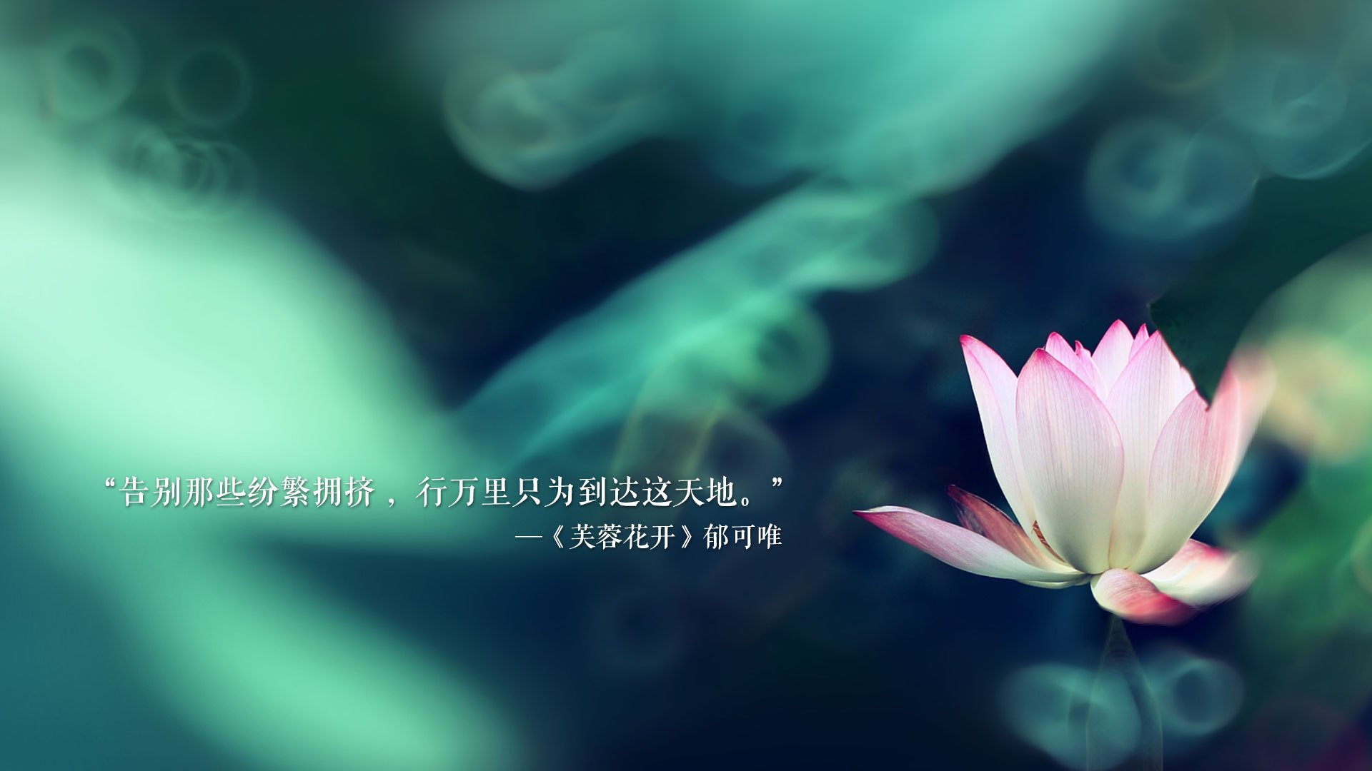 开云首页登录-国家男篮延续技术提升计划强化球员能力边界，男篮规划球员