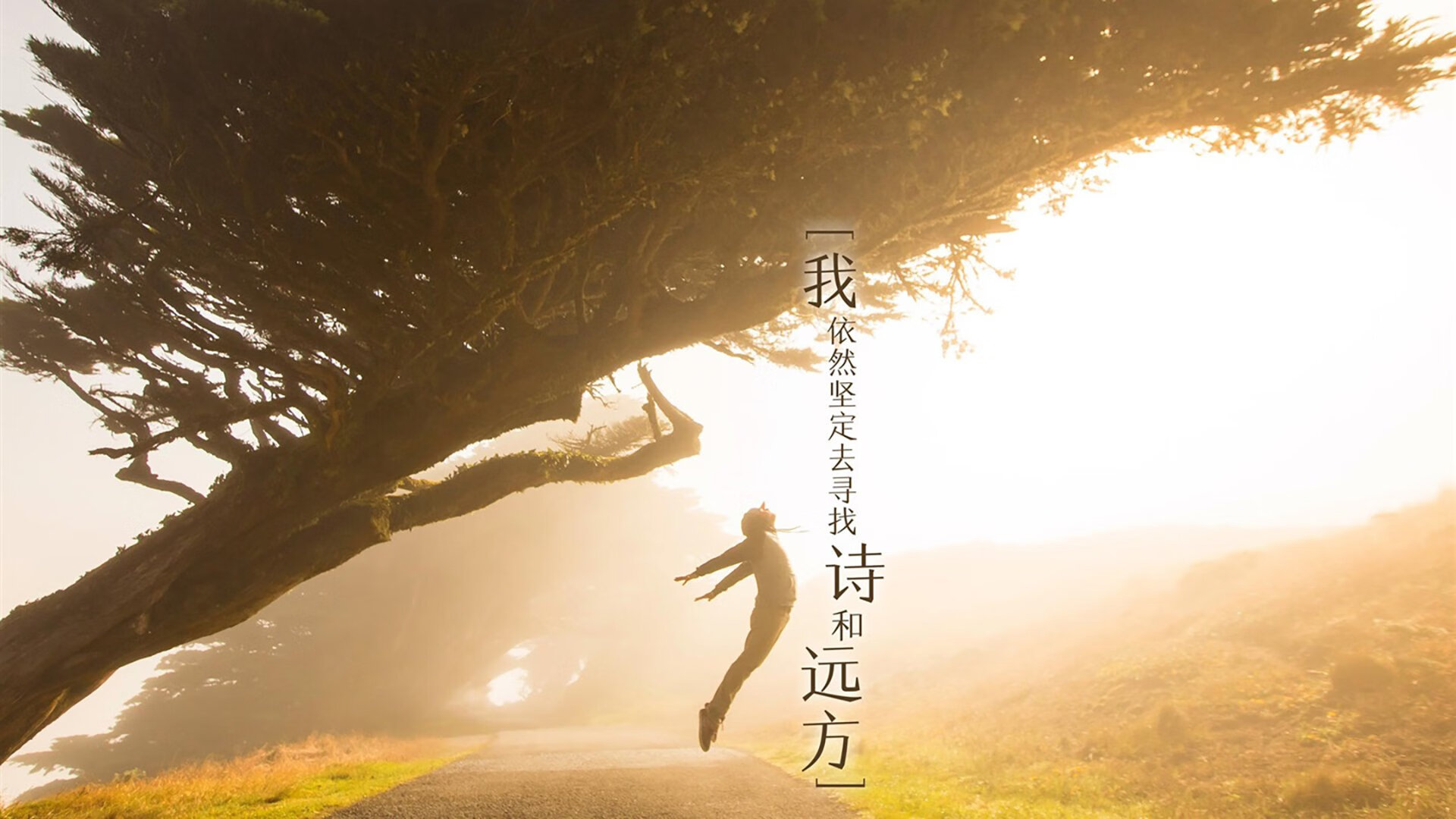 湖人锋线组合展现空接能力赢得现场掌声，湖人主场上空的旗帜