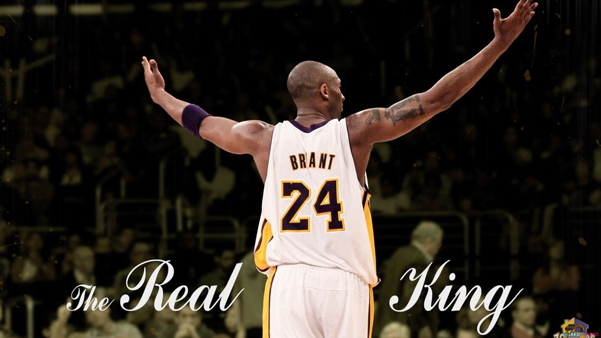 开云·体育全站登录地址-从沙漠到雪原：多重气候下的极限竞速，沙漠越野难度